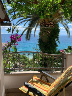 Bouganville seafront studio